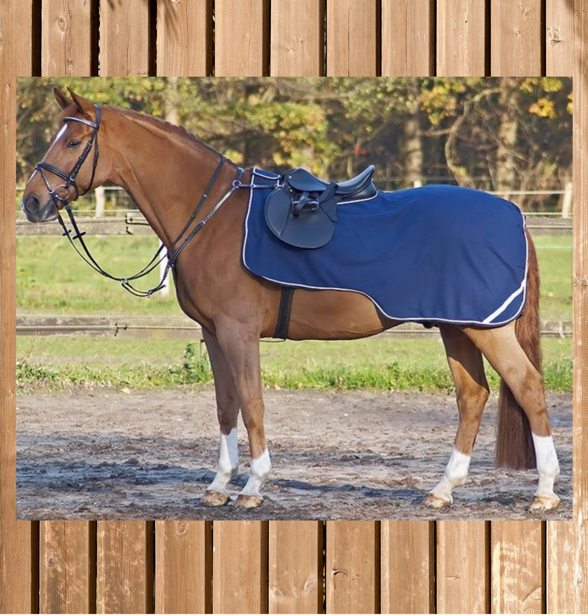 Busse Ausreitdecke Fleecetrainer, navy